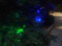 android_upload_pic-龙达温泉生态城