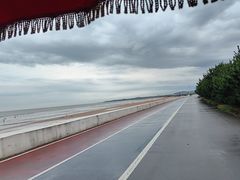 -日照海滨国家森林公园