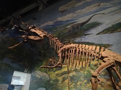 -自贡恐龙博物馆