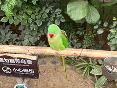 -南宫五洲植物乐园