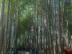 -宝岩生态观光园