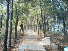 -东山风景区(洞庭东山)