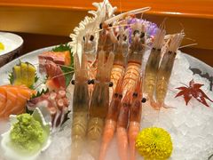 -月龍吟(朝龙汇店)