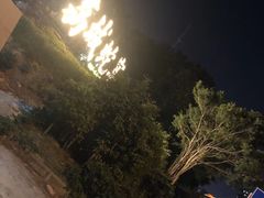 -荔城生鲜盛宴(番禺旗舰店)