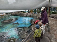 -海合安成都极地海洋公园