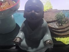 -后海彼岸花园餐厅