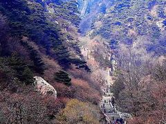 -泰山风景名胜区