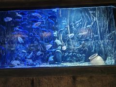 -华夏文旅海洋公园