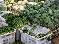 -岳各庄批发市场(西四环中路店)