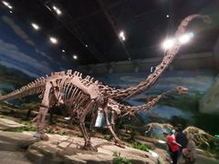 -自贡恐龙博物馆