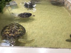 -常州海昌海洋探索馆