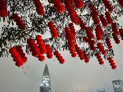 -深圳湾公园(南山区)