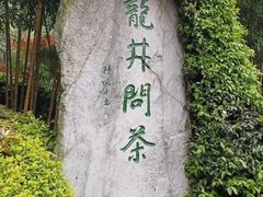 -龙井村