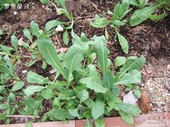 -广州神农草堂中医药博物馆