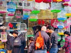 -溪岸路花鸟市场