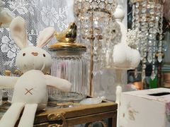 -共舞时光猫咖·狗咖(新街口店)