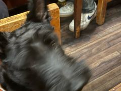 -福烤锦花(长乐路店)