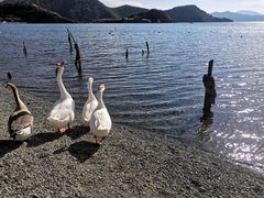 -泸沽湖里格半岛