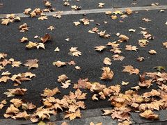 -西湖天地