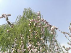 -元大都城垣遗址公园