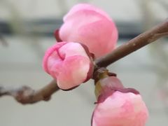 -辽宁大学(崇山校区)