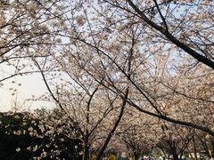 -康道天地(九六广场店)