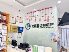 -宠福鑫动物医院(望京分院)