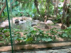 -海南热带野生动植物园