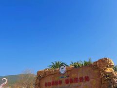 -世界恐龙谷景区