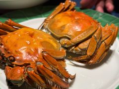 -老吉堂上海本帮菜(工体店)