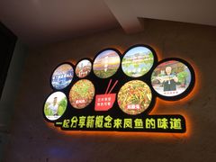 -新概念来凤鱼(璧山店)