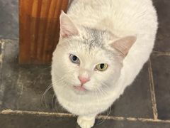 -张记牛肉面馆(天津路店)