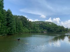 -广州市帽峰山景区