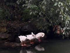-兰亭风景区