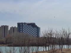 -丁香湖公园