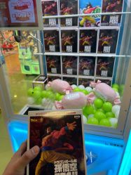 -莫莉幻想儿童乐园(武汉经开永旺店)