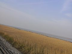 -南汇嘴观海公园