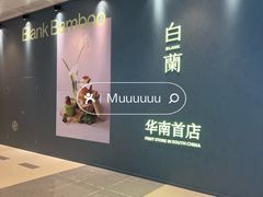 -大剧院(地铁站)
