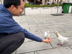 -华谊兄弟（长沙）电影小镇