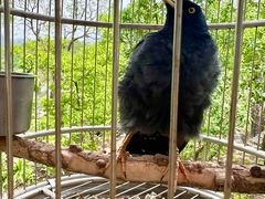 -南窖乡水峪村山情农家