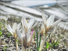 -新疆那拉提国家旅游度假区