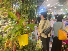 -双季花艺园艺市场(浦东店)