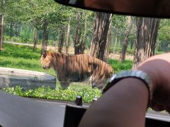 -秦皇岛野生动物园