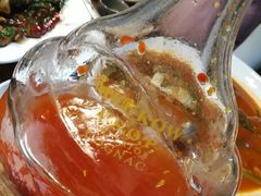 -马帮菜馆·美味野生菌