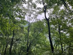 -青城山
