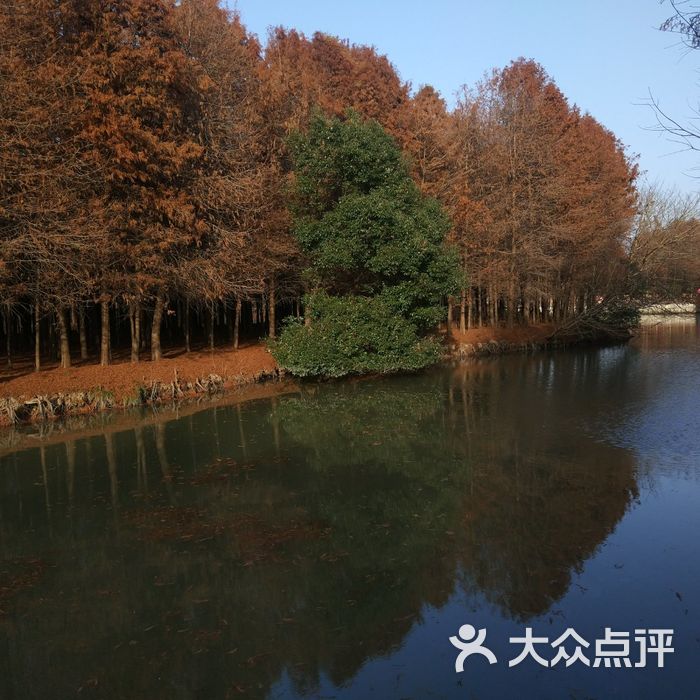 康桥生态园沔西绿地图片-北京植物园-大众点评网