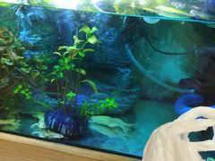 -陈记麻辣烫(浦口道店)