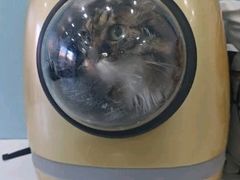 -纳吉亚猫专科动物诊疗中心(蒋宅口分院)