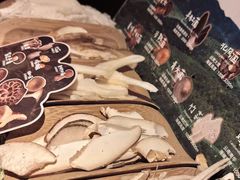 -芸山季·云南山珍菌火锅(人民广场来福士店)