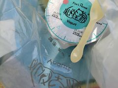 -狐狸家·酸奶酪专门店(平江路店)